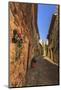 Gorgeous medieval village, cobblestone narrow lane and flowers, Peratallada, Baix Emporda, Girona,-Eleanor Scriven-Mounted Photographic Print
