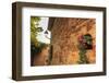 Gorgeous medieval village, geranium with pink flowers in old stone wall, Peratallada, Baix Emporda,-Eleanor Scriven-Framed Photographic Print