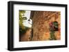 Gorgeous medieval village, geranium with pink flowers in old stone wall, Peratallada, Baix Emporda,-Eleanor Scriven-Framed Photographic Print