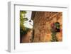 Gorgeous medieval village, geranium with pink flowers in old stone wall, Peratallada, Baix Emporda,-Eleanor Scriven-Framed Photographic Print