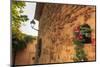 Gorgeous medieval village, geranium with pink flowers in old stone wall, Peratallada, Baix Emporda,-Eleanor Scriven-Mounted Photographic Print