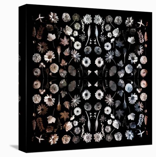 Gorgeous Mirror of Florals on Black-Tom Quartermaine-Stretched Canvas
