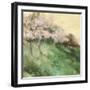 Gorgeous Orchard-Andy Waite-Framed Giclee Print