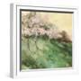 Gorgeous Orchard-Andy Waite-Framed Giclee Print