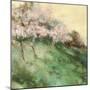 Gorgeous Orchard-Andy Waite-Mounted Giclee Print