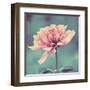 Gorgeous Pink-Gail Peck-Framed Art Print