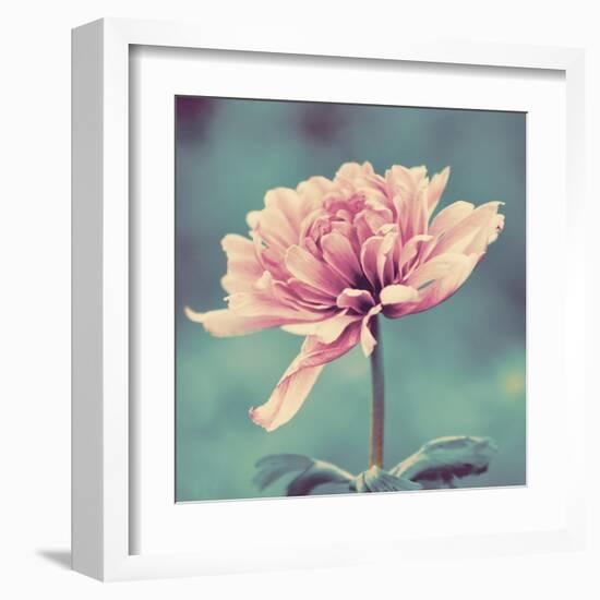 Gorgeous Pink-Gail Peck-Framed Art Print