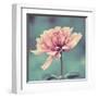 Gorgeous Pink-Gail Peck-Framed Art Print