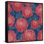 Gorgeous Red Flowers on Blue Background-hoverfly-Framed Stretched Canvas