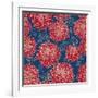 Gorgeous Red Flowers on Blue Background-hoverfly-Framed Art Print