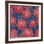 Gorgeous Red Flowers on Blue Background-hoverfly-Framed Art Print