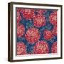 Gorgeous Red Flowers on Blue Background-hoverfly-Framed Art Print