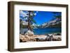 Gorgeous Yosemite National Park, California, Usa-brizardh-Framed Photographic Print