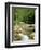 Gorges d'Omblez, Near La Chapelle En Vercors, Drome, Rhone Alpes, France-Michael Busselle-Framed Photographic Print