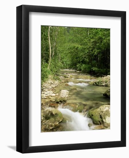 Gorges d'Omblez, Near La Chapelle En Vercors, Drome, Rhone Alpes, France-Michael Busselle-Framed Photographic Print