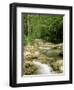 Gorges d'Omblez, Near La Chapelle En Vercors, Drome, Rhone Alpes, France-Michael Busselle-Framed Photographic Print