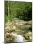 Gorges d'Omblez, Near La Chapelle En Vercors, Drome, Rhone Alpes, France-Michael Busselle-Mounted Photographic Print