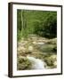 Gorges d'Omblez, Near La Chapelle En Vercors, Drome, Rhone Alpes, France-Michael Busselle-Framed Photographic Print