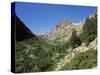 Gorges De La Restonica, Bergerie De Grottelle, Corsica, France-Yadid Levy-Stretched Canvas