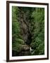 Gorges of the River Cere, Cantal Mountains, Auvergne, France-Peter Higgins-Framed Photographic Print