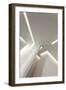 Gorges-Michel Guyot-Framed Photographic Print