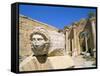 Gorgon Head, Severan Forum, Leptis Magna, UNESCO World Heritage Site, Tripolitania, Libya-Sergio Pitamitz-Framed Stretched Canvas