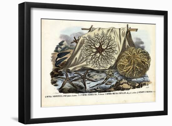 Gorgon's Head, 1863-79-Raimundo Petraroja-Framed Giclee Print