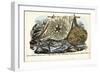 Gorgon's Head, 1863-79-Raimundo Petraroja-Framed Giclee Print