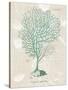 Gorgonia Granulata on Linen Sea Foam-Wild Apple Portfolio-Stretched Canvas