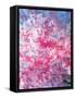 Gorgonian Coral-Ihoko Saito/ Toshiyuki Tajima-Framed Stretched Canvas