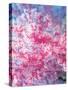 Gorgonian Coral-Ihoko Saito/ Toshiyuki Tajima-Stretched Canvas