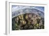 Gorgonians and Reef-Building Corals Near the Blue Hole in Belize-Stocktrek Images-Framed Premium Photographic Print