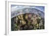 Gorgonians and Reef-Building Corals Near the Blue Hole in Belize-Stocktrek Images-Framed Photographic Print