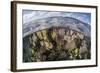 Gorgonians and Reef-Building Corals Near the Blue Hole in Belize-Stocktrek Images-Framed Photographic Print