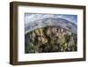 Gorgonians and Reef-Building Corals Near the Blue Hole in Belize-Stocktrek Images-Framed Photographic Print