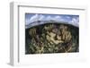 Gorgonians and Reef-Building Corals Near the Blue Hole in Belize-Stocktrek Images-Framed Photographic Print