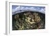 Gorgonians and Reef-Building Corals Near the Blue Hole in Belize-Stocktrek Images-Framed Photographic Print