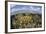 Gorgonians and Reef-Building Corals Near the Blue Hole in Belize-Stocktrek Images-Framed Photographic Print