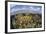 Gorgonians and Reef-Building Corals Near the Blue Hole in Belize-Stocktrek Images-Framed Photographic Print