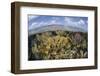 Gorgonians and Reef-Building Corals Near the Blue Hole in Belize-Stocktrek Images-Framed Photographic Print