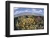 Gorgonians and Reef-Building Corals Near the Blue Hole in Belize-Stocktrek Images-Framed Photographic Print