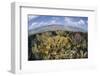 Gorgonians and Reef-Building Corals Near the Blue Hole in Belize-Stocktrek Images-Framed Photographic Print