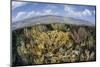 Gorgonians and Reef-Building Corals Near the Blue Hole in Belize-Stocktrek Images-Mounted Photographic Print