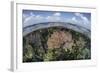 Gorgonians and Reef-Building Corals Near the Blue Hole in Belize-Stocktrek Images-Framed Photographic Print