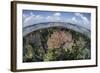 Gorgonians and Reef-Building Corals Near the Blue Hole in Belize-Stocktrek Images-Framed Photographic Print