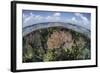 Gorgonians and Reef-Building Corals Near the Blue Hole in Belize-Stocktrek Images-Framed Photographic Print