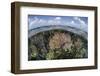 Gorgonians and Reef-Building Corals Near the Blue Hole in Belize-Stocktrek Images-Framed Photographic Print