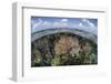 Gorgonians and Reef-Building Corals Near the Blue Hole in Belize-Stocktrek Images-Framed Photographic Print