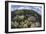 Gorgonians and Reef-Building Corals Near the Blue Hole in Belize-Stocktrek Images-Framed Photographic Print