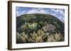 Gorgonians and Reef-Building Corals Near the Blue Hole in Belize-Stocktrek Images-Framed Photographic Print